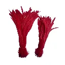 16.webp