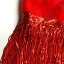 FLECOS - LENTEJULAS ROLLO - ROJO - 20cm - 10 Yardas