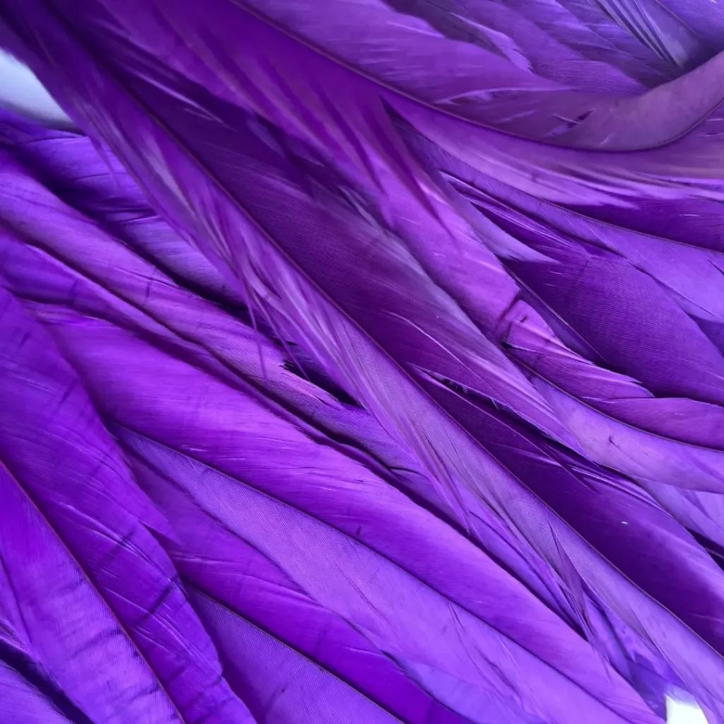 PLUMAS DE GALLINA - 40/45 CM - x100 (Blanco)