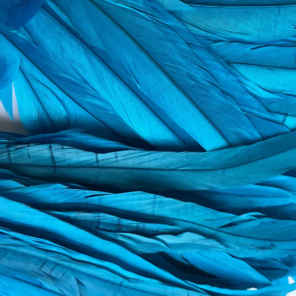 PLUMAS DE GALLINA - 30/35 CM - x100 (Rojo)